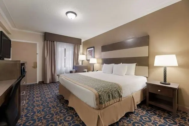 Standard Oda, 1 En Büyük (King) Boy Yatak, Engellilere Uygun, Sigara İçilmez (Walk-in Shower)