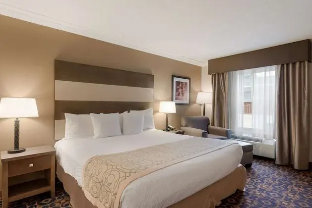 Standard Oda, 1 En Büyük (King) Boy Yatak, Sigara İçilmez, Sıcak Su Küveti