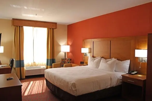 Standard Oda, 1 En Büyük (King) Boy Yatak, Engellilere Uygun, Sigara İçilmez (Walk-in Shower)