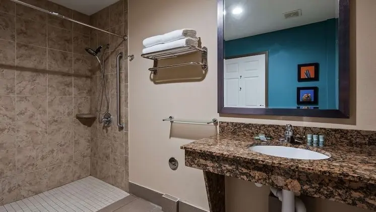 Standard Oda, 1 En Büyük (King) Boy Yatak, Engellilere Uygun, Sigara İçilmez (Walk-in Shower)
