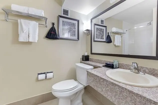 Standard Oda, 1 En Büyük (King) Boy Yatak, Sigara İçilmez, Buzdolabı ve Mikrodalga