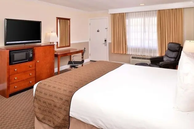 Standard Oda, 1 En Büyük (King) Boy Yatak, Engellilere Uygun, Balkon (Pet Friendly)