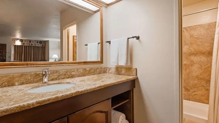 Standard Oda, 1 En Büyük (King) Boy Yatak, Sigara İçilmez, Mikrodalga (Oversized Room)
