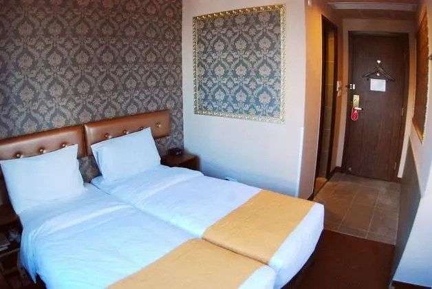 Deluxe Oda, 2 Tek Kişilik Yatak, Şehir Manzaralı