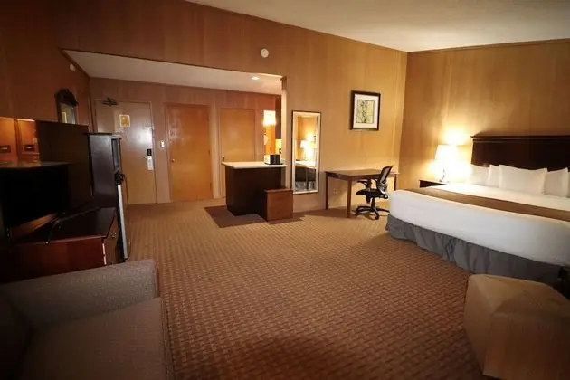 Standard Oda, 1 En Büyük (King) Boy Yatak, Sigara İçilmez, Küçük Mutfak (Larger Room;with Sofabed)