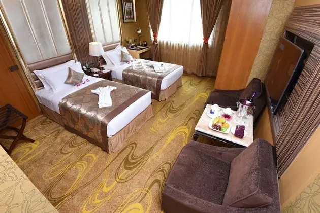 Executive Oda, 2 Tek Kişilik Yatak, Sigara İçilmez, Şehir Manzaralı