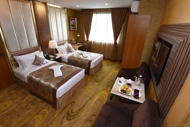 Executive Oda, 2 Tek Kişilik Yatak, Sigara İçilmez, Şehir Manzaralı