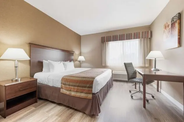 Süit, 1 En Büyük (King) Boy Yatak, Sigara İçilmez, Mikrodalga