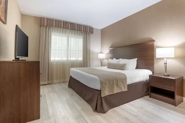 Süit, 1 En Büyük (King) Boy Yatak, Sigara İçilmez, Sıcak Su Küveti