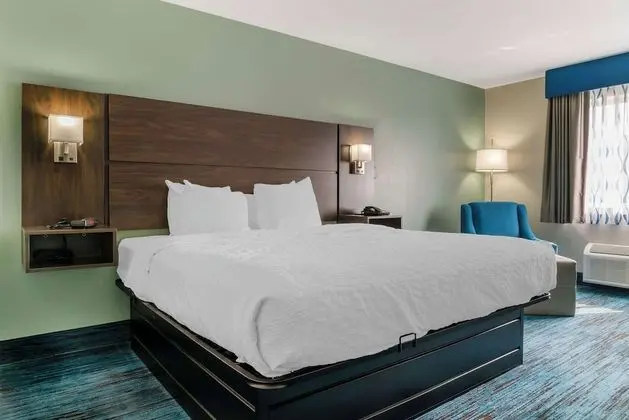 Standard Oda, 1 En Büyük (King) Boy Yatak, Sigara İçilmez, Buzdolabı