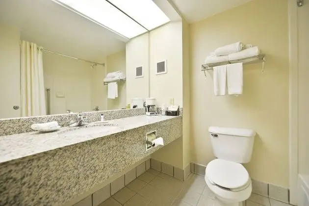 Standard Oda, 1 En Büyük (King) Boy Yatak ve Çekyat, Sigara İçilmez, Mikrodalga (with Sofabed)