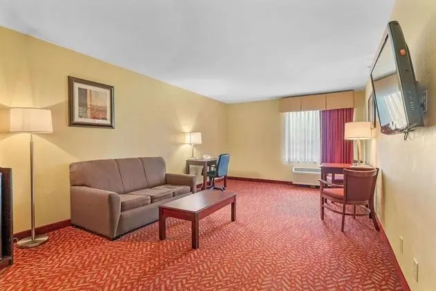 Süit, Birden Çok Yatak, Sigara İçilmez, Buzdolabı ve Mikrodalga (Living Room;with Sofabed)