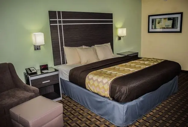 Standard Oda, 1 En Büyük (King) Boy Yatak, Sigara İçilebilir