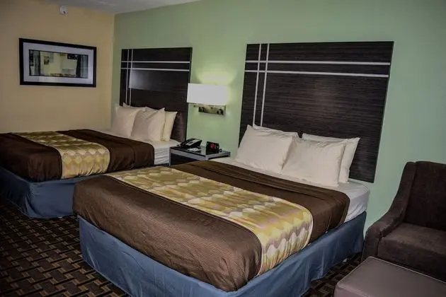 Standard Oda, 2 Büyük (Queen) Boy Yatak, Sigara İçilmez (Pet Friendly)