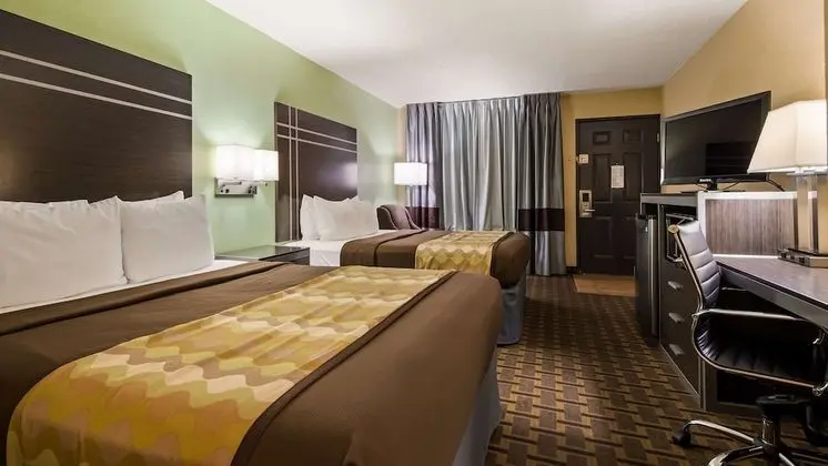 Standard Oda, 2 Büyük (Queen) Boy Yatak, Sigara İçilmez (Pet Friendly)