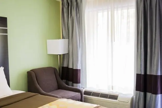 Standard Oda, 2 Büyük (Queen) Boy Yatak, Sigara İçilmez (Pet Friendly)