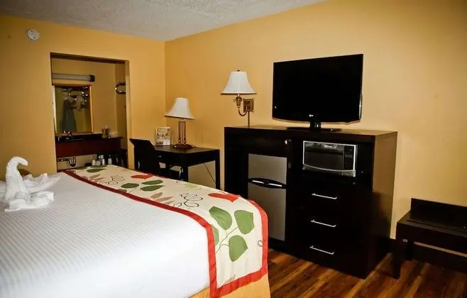 Standard Oda, 1 En Büyük (King) Boy Yatak, Sigara İçilebilir, Buzdolabı ve Mikrodalga