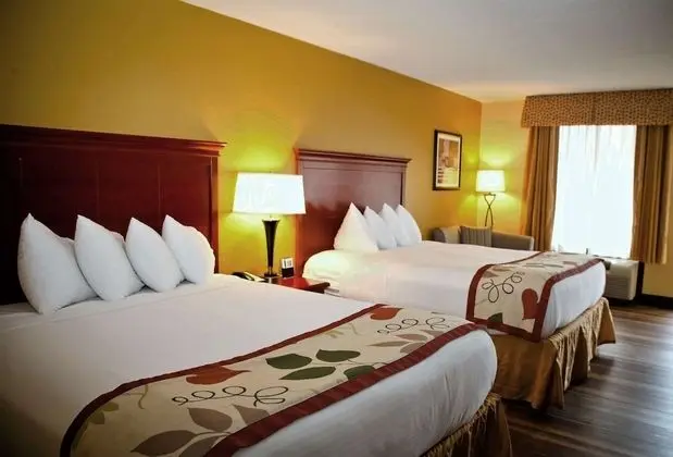 Standard Oda, 2 Büyük (Queen) Boy Yatak, Sigara İçilmez, Buzdolabı ve Mikrodalga