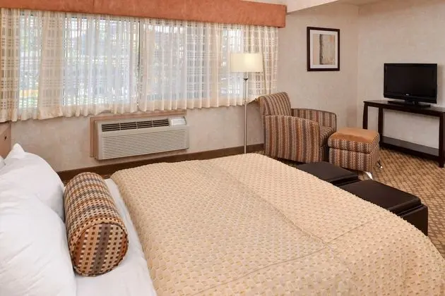 Standard Oda, 1 Büyük (Queen) Boy Yatak, Sigara İçilmez, Buzdolabı (Queen Murphy Bed Only)