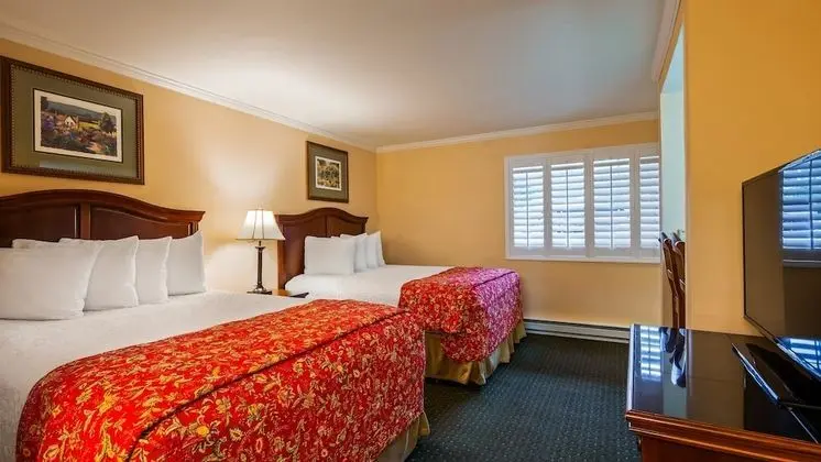 Standard Oda, 2 Çift Kişilik Yatak, Engellilere Uygun, Sigara İçilmez