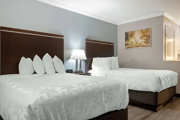 Standard Oda, 2 Çift Kişilik Yatak, Sigara İçilmez, Buzdolabı ve Mikrodalga