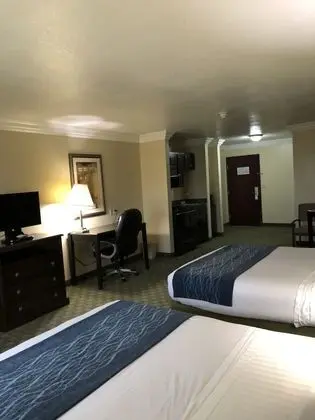 Basic Tek Büyük Yataklı Oda