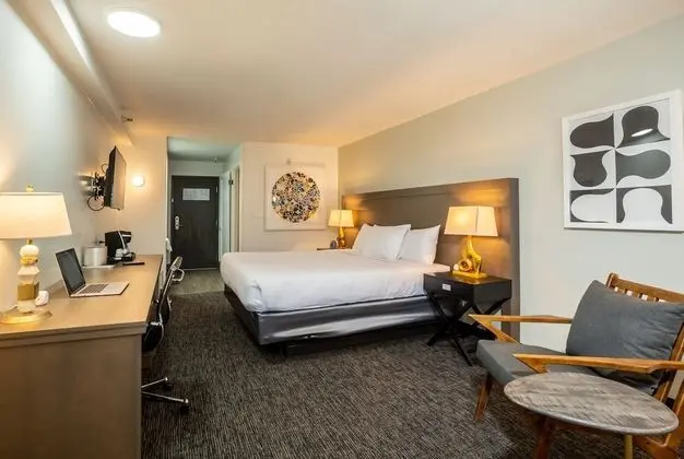 Executive Oda, 1 En Büyük (King) Boy Yatak (Executive King Room)