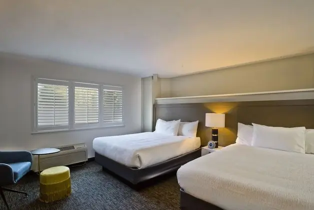 Superior Stüdyo Süit (Executive 2 Queen Suite)