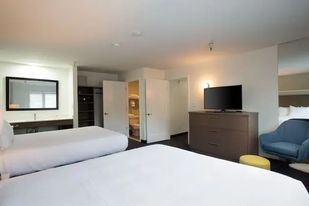 Superior Stüdyo Süit (Executive 2 Queen Suite)