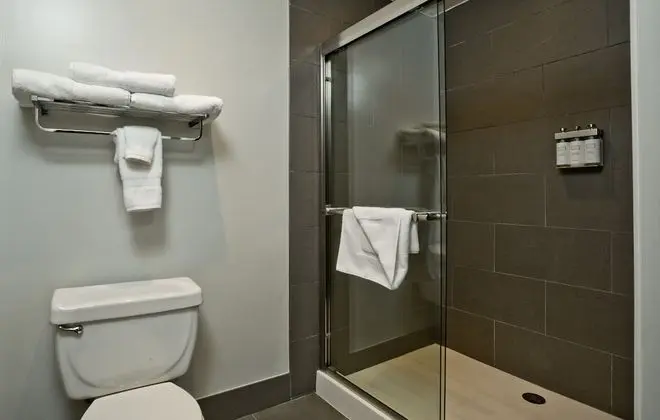 Superior Stüdyo Süit (Executive 2 Queen Suite)