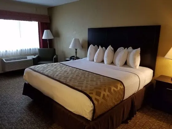 Standard Oda, 1 En Büyük (King) Boy Yatak, Sigara İçilmez, Buzdolabı ve Mikrodalga