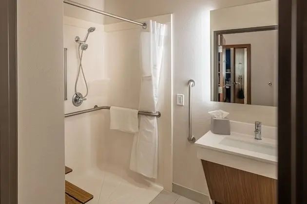 Standard Oda, 1 En Büyük (King) Boy Yatak, Engellilere Uygun (Roll-In Shower)