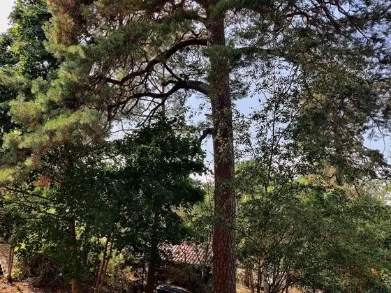 Standard Oda, 2 Tek Kişilik Yatak, Sigara İçilmez