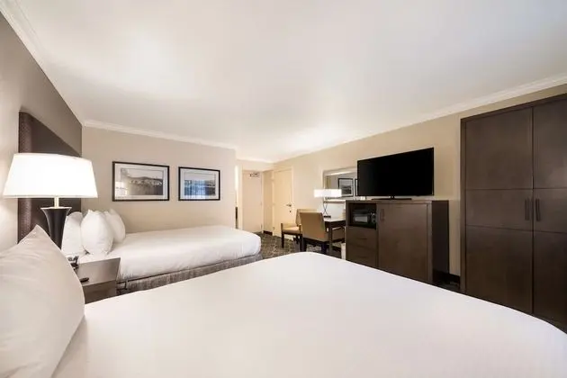 Standard Oda, 2 Büyük (Queen) Boy Yatak, Sigara İçilmez, Buzdolabı ve Mikrodalga (Pet Friendly)
