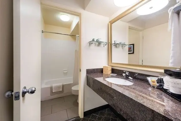 Standard Oda, 2 Büyük (Queen) Boy Yatak, Sigara İçilmez, Buzdolabı ve Mikrodalga (Pet Friendly)