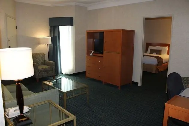 Süit, Birden Çok Yatak, Sigara İçilmez (Living Room;Walk-in Shower)