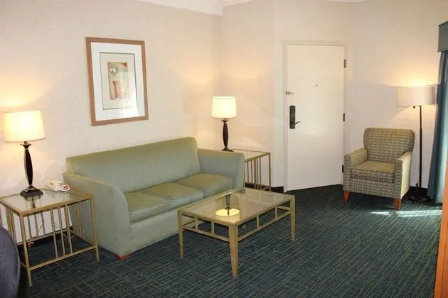 Süit, Birden Çok Yatak, Sigara İçilmez (Living Room;Walk-in Shower)