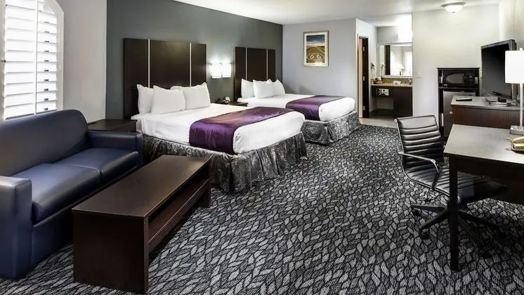 Standard Oda, 1 En Büyük (King) Boy Yatak, Sigara İçilmez, Buzdolabı ve Mikrodalga