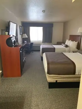 Standard Oda, 2 Büyük (Queen) Boy Yatak, Sigara İçilmez, Buzdolabı ve Mikrodalga (Pet Friendly)
