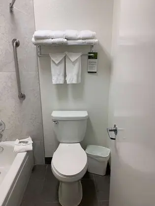 Standard Oda, 2 Büyük (Queen) Boy Yatak, Sigara İçilmez, Buzdolabı ve Mikrodalga (Pet Friendly)