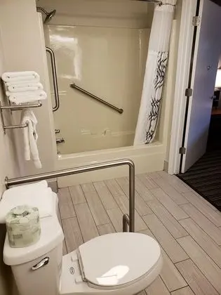 Standard Oda, 1 En Büyük (King) Boy Yatak, Engellilere Uygun, Küvet (Not Pet Friendly)