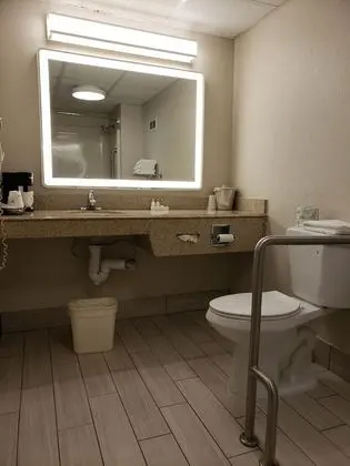 Standard Oda, 1 En Büyük (King) Boy Yatak, Engellilere Uygun, Küvet (Not Pet Friendly)