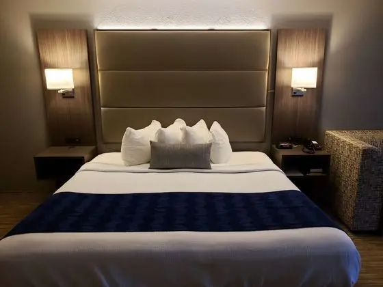 Standard Oda, 1 En Büyük (King) Boy Yatak, Sigara İçilmez (Not Pet Friendly)