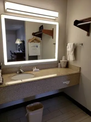 Standard Oda, 1 En Büyük (King) Boy Yatak, Sigara İçilmez (Not Pet Friendly)