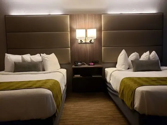 Standard Oda, 2 Büyük (Queen) Boy Yatak, Sigara İçilmez (Pet Friendly)