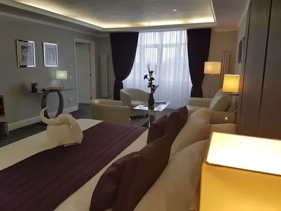 Executive Tek Büyük Yataklı Oda