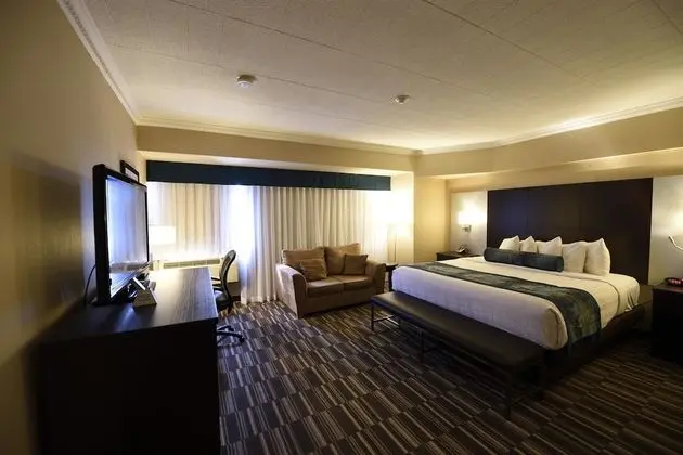Business Oda, 1 En Büyük (King) Boy Yatak, Sigara İçilmez (No Pets in room type)