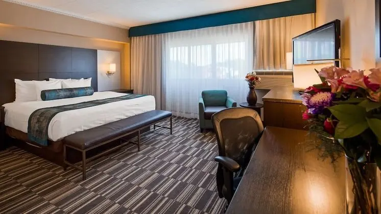 Business Oda, 1 En Büyük (King) Boy Yatak, Sigara İçilmez (No Pets in room type)