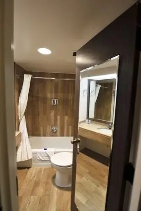 Business Oda, 1 En Büyük (King) Boy Yatak, Sigara İçilmez (No Pets in room type)