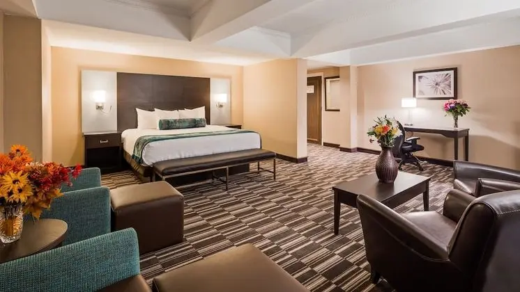Süit, 1 En Büyük (King) Boy Yatak, Sigara İçilmez, Sıcak Su Küveti (No Pets in room type)
